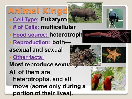 Animal Kingdom Cell Type : Eukaryote # of Cells: multicellular Food source: heterotrophs Reproduction: both— asexual and sexual Other facts: Most reproduce.
