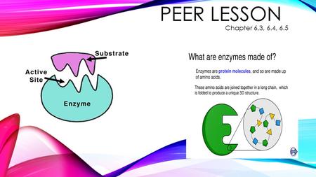 PEER LESSON Chapter 6.3, 6.4, 6.5. 6.3 HOW IS ENERGY TRANSPORTED WITHIN CELLS? ENERGY CARRIER MOLECULES Glucose cannot be used to fuel the endergonic.