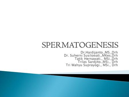 SPERMATOGENESIS Dr.Hardijanto.,MS.,Drh