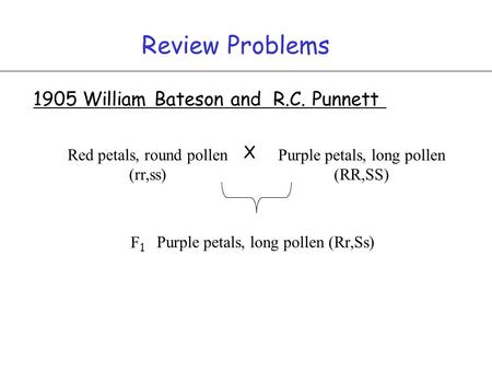 Review Problems 1905 William Bateson and R.C. Punnett