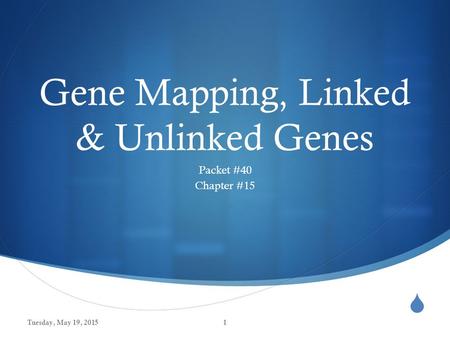  Gene Mapping, Linked & Unlinked Genes Packet #40 Chapter #15 Tuesday, May 19, 20151.