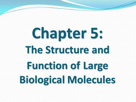 Chapter 5: The Structure and Function of Large Biological Molecules.