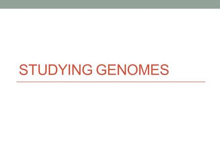 Studying genomes.