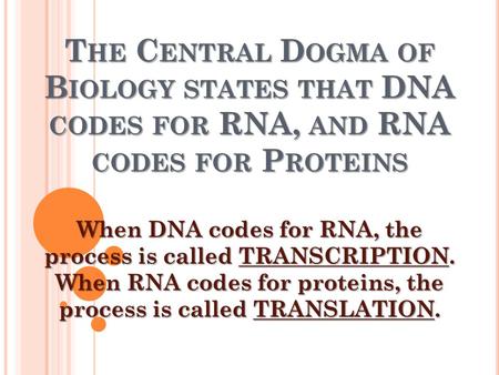 T HE C ENTRAL D OGMA OF B IOLOGY STATES THAT DNA CODES FOR RNA, AND RNA CODES FOR P ROTEINS When DNA codes for RNA, the process is called TRANSCRIPTION.