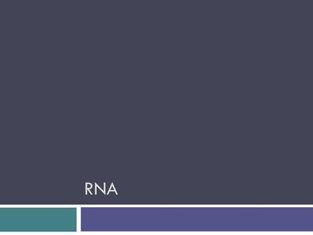 RNA.