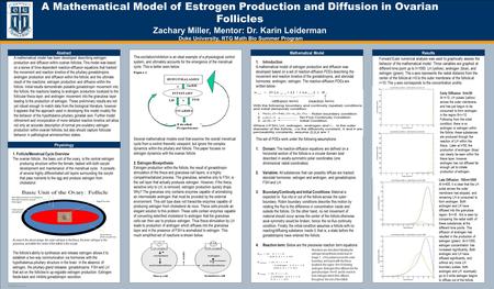 TEMPLATE DESIGN © 2008 www.PosterPresentations.com A Mathematical Model of Estrogen Production and Diffusion in Ovarian Follicles Zachary Miller, Mentor: