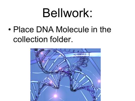 Bellwork: Place DNA Molecule in the collection folder.