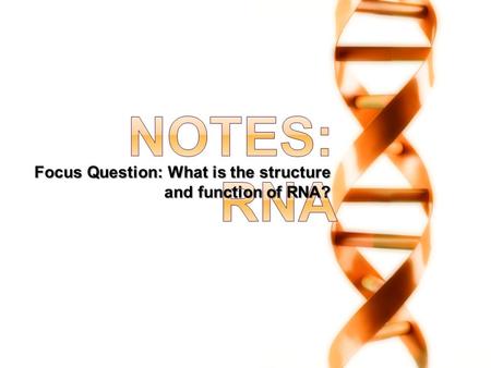 Focus Question: What is the structure and function of RNA?