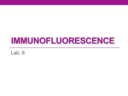 IMMUNOFLUORESCENCE Lab. 6. Immunofluorescence It is a technique that uses a fluorescent compound (fluorophore or fluorochrome) to indicate a specific.