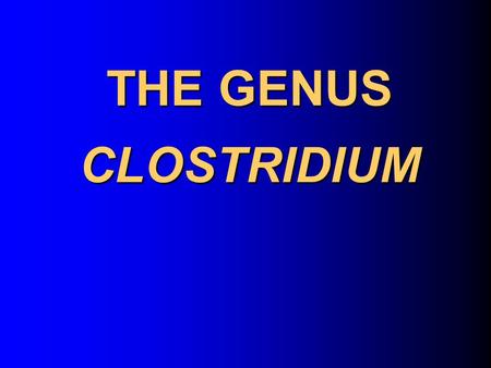 THE GENUS CLOSTRIDIUM.