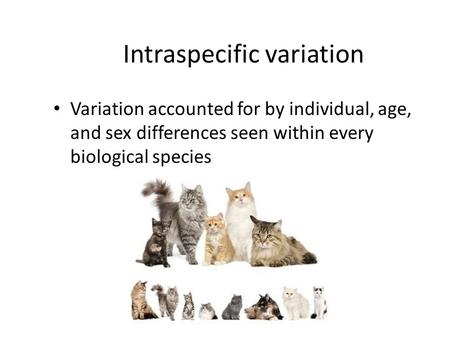 Intraspecific variation Variation accounted for by individual, age, and sex differences seen within every biological species.