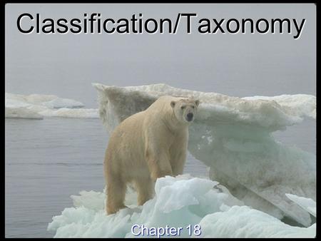 Classification/Taxonomy Chapter 18. Why Classify? Why Classify? To study the diversity of life, biologists use a classification system to name organisms.