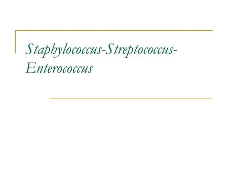 Staphylococcus-Streptococcus-Enterococcus