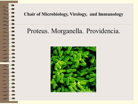 Chair of Microbiology, Virology, and Immunology Proteus. Morganella. Providencia.