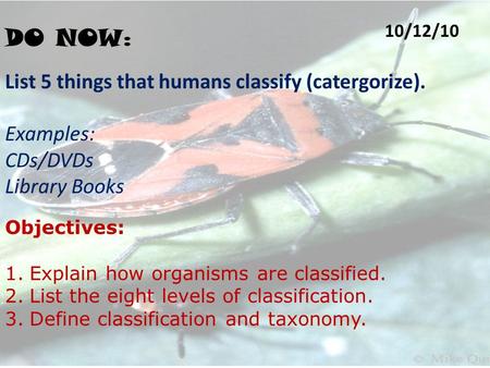 10/12/10 DO NOW : List 5 things that humans classify (catergorize). Examples: CDs/DVDs Library Books Objectives: 1.Explain how organisms are classified.