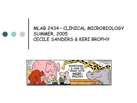 MLAB 2434 – CLINICAL MICROBIOLOGY SUMMER, 2005 CECILE SANDERS & KERI BROPHY.