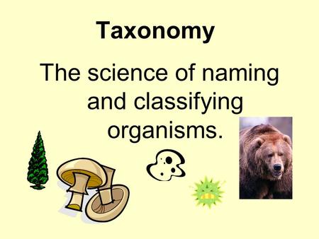 The science of naming and classifying organisms.