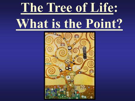 The Tree of Life: What is the Point? Big Question Why Do We Classify Organisms?