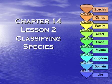 Chapter 14 Lesson 2 Classifying Species. Classification grouping objects or organisms based on similarities grouping objects or organisms based on similarities.
