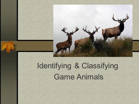 Identifying & Classifying Game Animals. Next Generation Science / Common Core Standards Addressed! HS ‐ LS2 ‐ 1. Use mathematical and/or computational.