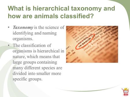What is hierarchical taxonomy and how are animals classified? Taxonomy is the science of identifying and naming organisms. The classification of organisms.