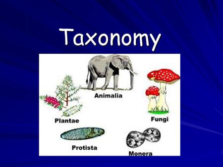 Taxonomy.