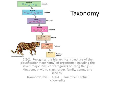 Taxonomy level: 1.1-A Remember Factual Knowledge