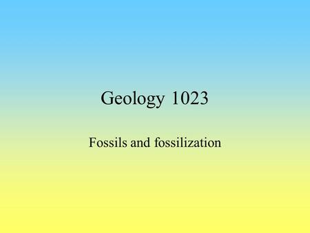 Fossils and fossilization