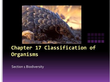 Section 1 Biodiversity. Although scientists have classified almost 2 million species, there are likely many more.