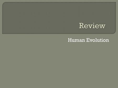 Review Human Evolution.