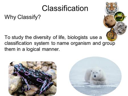 Classification Why Classify?