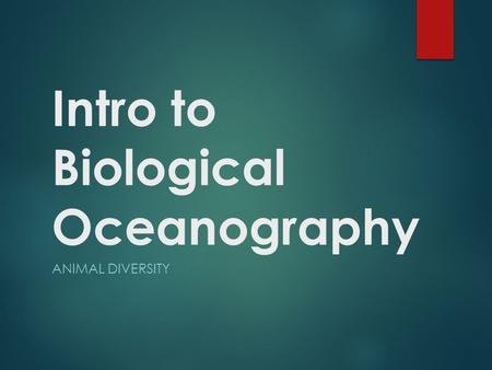 Intro to Biological Oceanography ANIMAL DIVERSITY.
