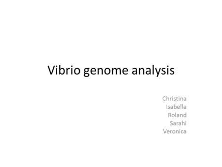 Vibrio genome analysis Christina Isabella Roland Sarahi Veronica.