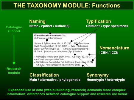 THE TAXONOMY MODULE: Functions Eremothecella calamicola Syd. (Arthoniales: Arthoniaceae) Sydow & Sydow, Ann. Mycol. 15: 236. 1917; Sérusiaux, Syst. Ascomycetum.