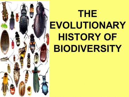 THE EVOLUTIONARY HISTORY OF BIODIVERSITY