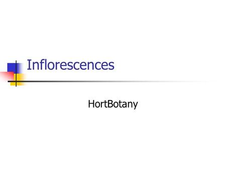 Inflorescences HortBotany.