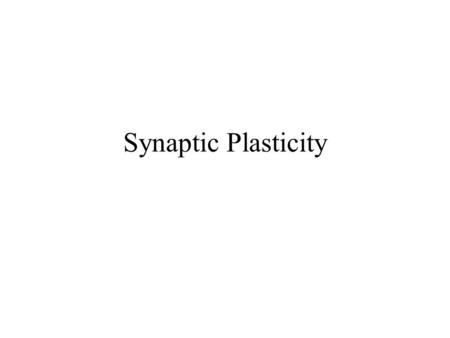 Synaptic Plasticity.