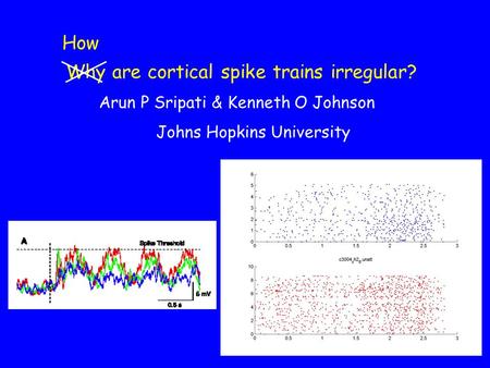 Why are cortical spike trains irregular? How Arun P Sripati & Kenneth O Johnson Johns Hopkins University.
