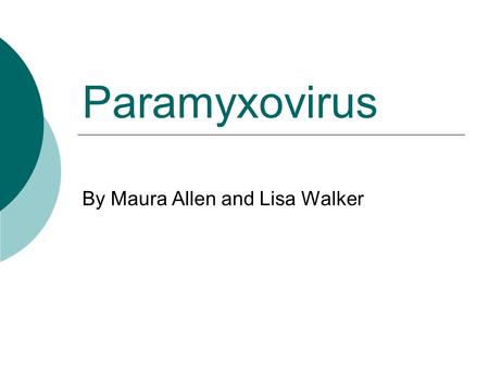 Paramyxovirus By Maura Allen and Lisa Walker. An Introduction to Paramyxovirus Paramyxovirus is a family of viruses that is most commonly associated with.