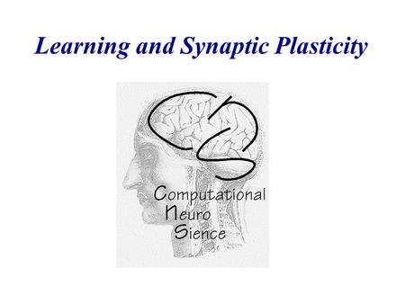 Learning and Synaptic Plasticity. Molecules Levels of Information Processing in the Nervous System 0.01  m Synapses 1m1m Neurons 100  m Local Networks.