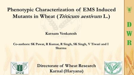 Phenotypic Characterization of EMS Induced Mutants in Wheat (Triticum aestivum L.) Karnam Venkatesh Co-authors: SK Pawar, R Kumar, R Singh, SK Singh, V.