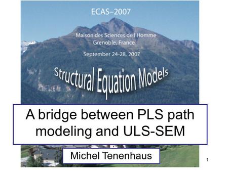 1 A bridge between PLS path modeling and ULS-SEM Michel Tenenhaus.