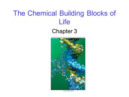 The Chemical Building Blocks of Life Chapter 3. 2 Biological Molecules Biological molecules consist primarily of -carbon bonded to carbon, or -carbon.