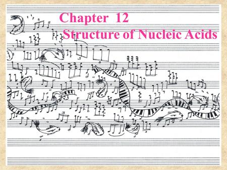 Chapter 12 Structure of Nucleic Acids. 12.1 The Primary Structure of Nucleic Acids.
