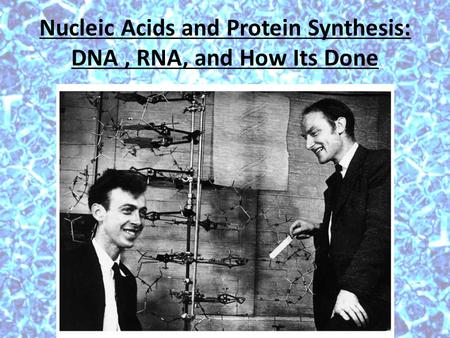 Nucleic Acids and Protein Synthesis: DNA, RNA, and How Its Done.