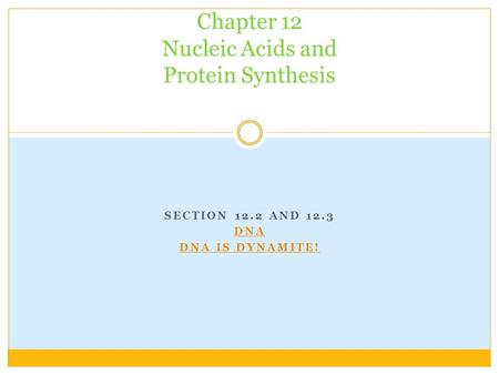 SECTION 12.2 AND 12.3 DNA DNA IS DYNAMITE! Chapter 12 Nucleic Acids and Protein Synthesis.