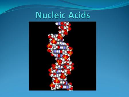 Introduction Nucleic acids are macromolecules made up of smaller nucleotide subunits. They carry genetic information, form specific structures in a cell.