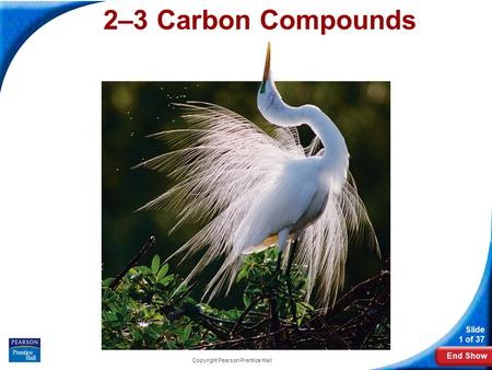 End Show Slide 1 of 37 Copyright Pearson Prentice Hall 2–3 Carbon Compounds.