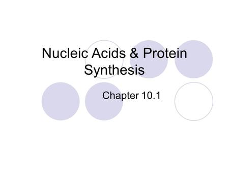 Nucleic Acids & Protein Synthesis Chapter 10.1. Structure of DNA Phosphate group Nitrogen-containing base Sugar (deoxyribose)