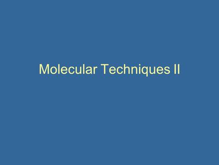 Molecular Techniques II. Today: Advanced PCR Techniques Other Amplification Technologies Primer/Probe Design Whole Genome/Transcriptome Amplification.
